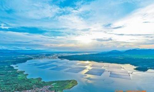 中企承建漂浮光伏项目助力印尼绿色发展