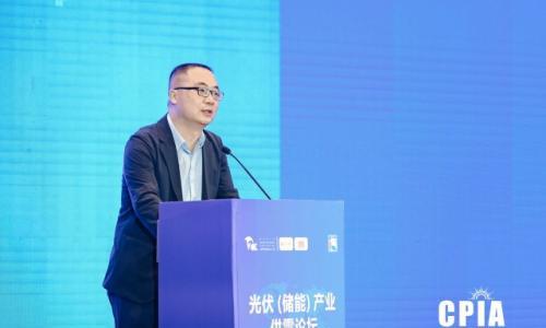 工信部金磊: 光伏和新型储能产业是推动能源转型和绿色发展的重要力量