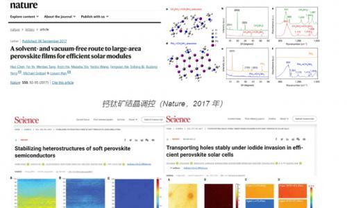 上海交通大学杨旭东出任光因科技首席科学家,负责钙钛矿电池及组件研发