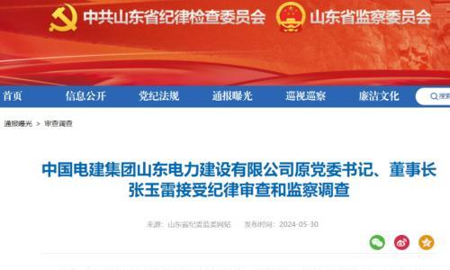 中国电建集团山东电力建设有限公司原董事长、原副总经理同日被查