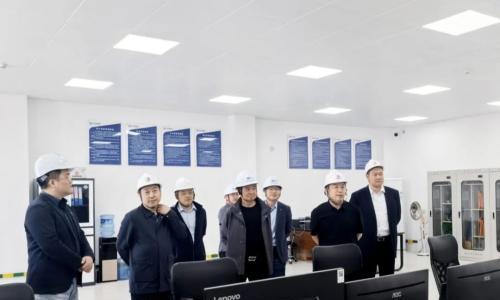 京能国际与林洋能源赴江苏启东吕四滩涂光伏项目开展交流