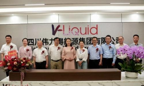 升级集团!四川伟力得能源集团开启新纪元,助力四川钒电池产业规模突破千亿
