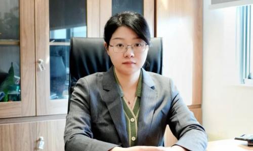 中国电气装备科研院 季文姣: 攻关液流电池电堆和系统研制关键技术难题,助力实现液流电池产业化发展