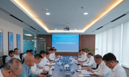 加快推进可再生能源项目开发!中国华电集团董事长江毅与驻印尼区域企业座谈并深入玻雅公司调研