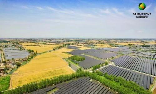 渔光共舞 绿能潮涌 | 泰州海陵渔光互补项目全容量并网发电!