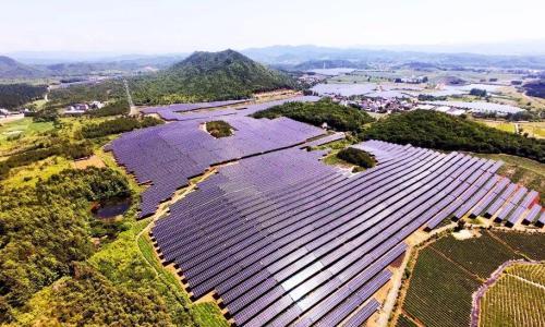 国华投资首个"茶光互补"项目全容量并网发电