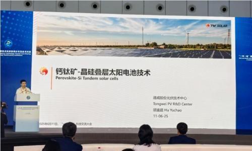 通威受邀参加"一带一路"国际技术转移案例分享及技术对接会