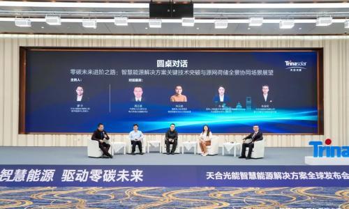 对话零碳未来进阶之路,源网荷储全景协同与场景化成解题关键