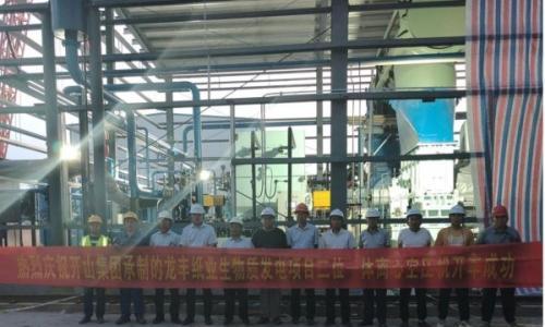 龙丰纸业: 生物质发电项目"三位一体"系统一次性联动试车成功!