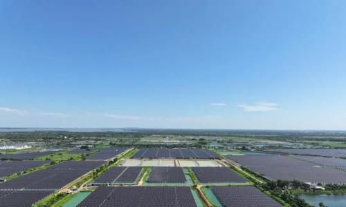 中国电建打造海岛上的《渔光"新"曲》