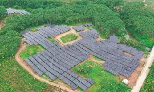 琼海阳江镇100MW光伏项目投产 426户村民共享"阳光红利"
