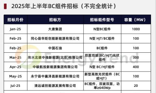 隆基BC电池项目首线投产!上半年BC组件招标已超2GW