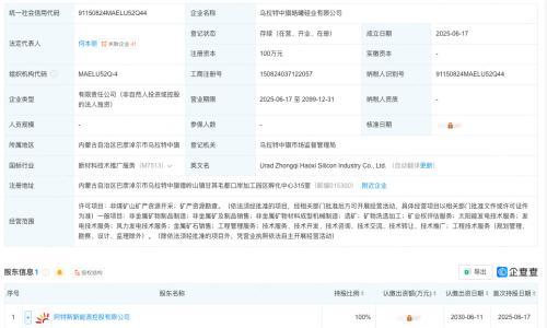 阿特斯新动作: 成立硅业公司,打通光伏产业全链条