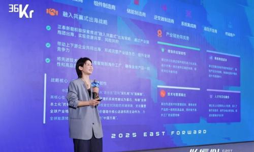 正泰新能黄海燕: "融入共赢式"出海,携全球伙伴共筑抗风险产业链生态