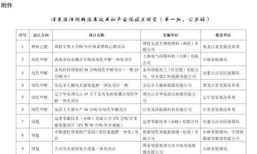 国家能源局综合司关于公示绿色液体燃料技术攻关和产业化试点项目(第一批)的通知
