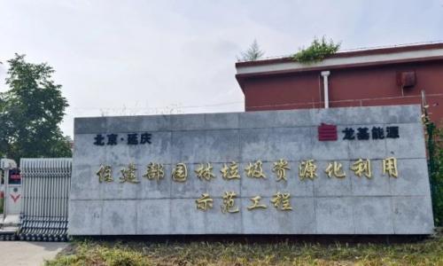 解码双碳: 龙基能源以生物质全产业链践行两山理论