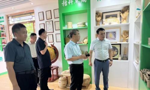 河南省滑县县委副书记王正贤一行莅临秸秆控股集团参观考察