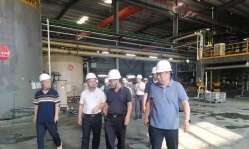 中国科协及全国学会专家组一行调研银峰新能源宜春钒电解液生产基地