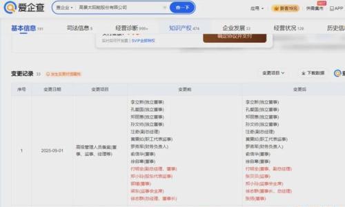 硅片第三巨头--高景太阳能董事变更