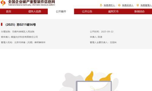 两家光伏企业,被申请破产!