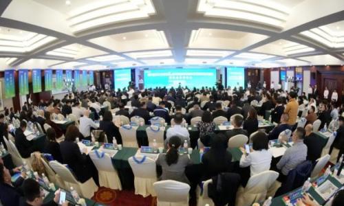 中新建电力集团发布城市级源网荷储一体化示范区建设成果