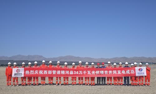 国家管网首个地面集中式大型光伏发电项目成功并网