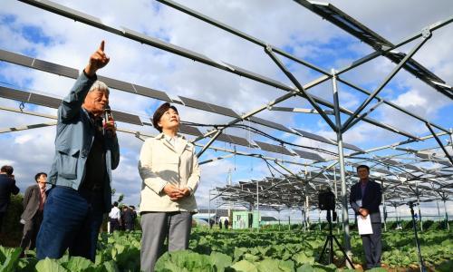 韩国拟立法推广农业光伏项目