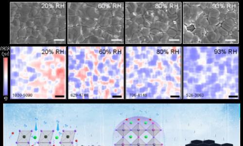 结晶激活的防湿屏障用于钙钛矿太阳能电池的高耐受性制备