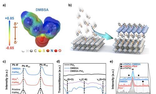 AEM: 通过集成非离子二元化合物增强钙钛矿太阳能电池的热稳定性