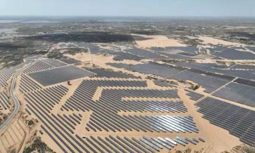 光伏"破立之间",BC突出重围!