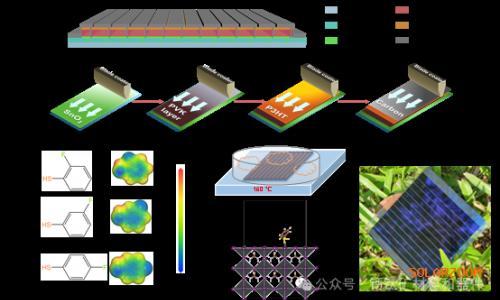 杨世和课题组《Nature Photonics》: 气相后处理法赋能高性能全印刷碳基钙钛矿太阳能电池模组