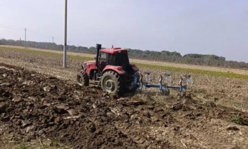 土桥镇: "三维发力"打好秋冬季生物质禁燃攻坚战