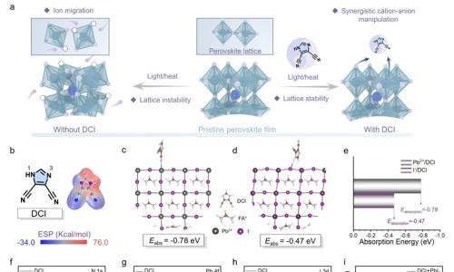 西工大陈睿豪&王洪强EES: 协同阳离子-阴离子调控构建稳健界面实现高效稳定倒置钙钛矿太阳能电池
