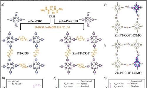 中科院化学所于贵、王吉政Angew: 通过共价有机框架均匀化自组装单分子层用于反式钙钛矿太阳能电池
