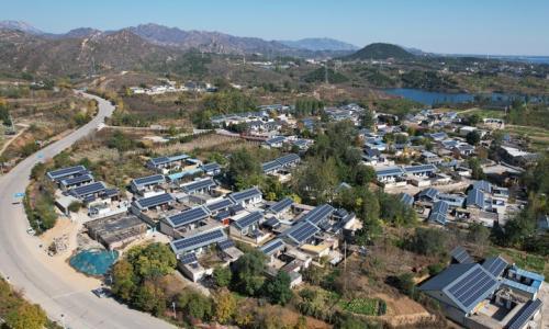 巴经济学家: 中国发展太阳能产业经验值得借鉴