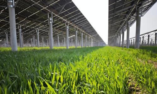 农光互补绘就振兴画卷--国家电投中电大别山新能源基地为老区送"阳光收益"