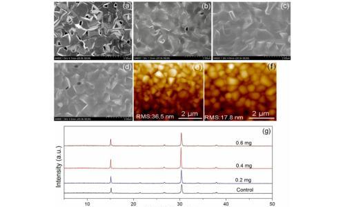 CsPbIBr2: 通过一种通用有机添加剂调控钙钛矿结晶并修复底部界面以制备高性能卤化铯钙钛矿太阳能电池