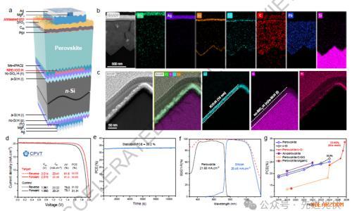 苏州大学杨新波&张晓宏&阿卜杜拉国王科技大学De Wolf最新Nature: 认证33.6%创柔性钙钛矿/硅叠层太阳能电池纪录