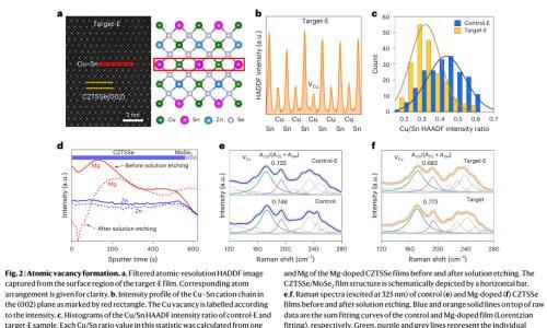 石将建&李冬梅&孟庆波Nat. Energy.: 镁掺杂实现空位增强的阳离子有序化,制备出认证效率达14.9%的锌黄锡矿太阳能电池