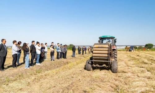 秸秆变废为宝,上海市农作物秸秆综合利用工作现场会暨技术观摩培训会举行