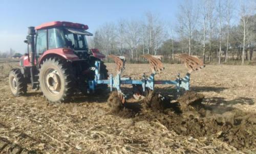 陈区镇: 秸秆综合利用全面启动,田间开启"绿色循环"新模式