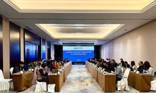 山东海阳350MW压缩空气储能电站项目可行性研究报告评审会顺利召开