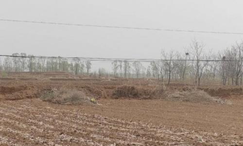 建宁乡秸秆"华丽变身"!生态循环路让田间废料成"增收宝"