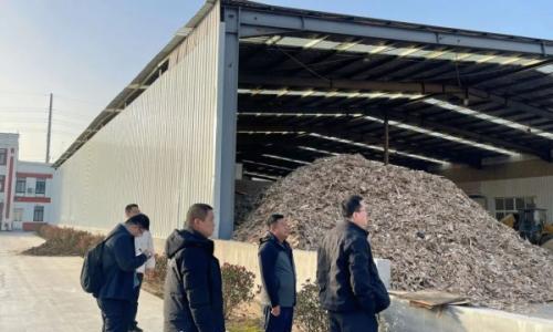 青岛市农业农村局调研沐之光能源集团 共探生物质能源助力绿色低碳发展