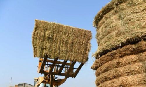 太原: "十四五"秸秆综合利用率稳定在98%以上