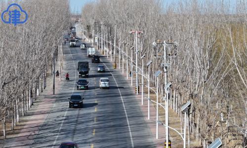 147盏太阳能路灯投入使用!西青区这项民心工程提前亮灯