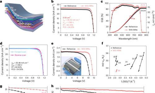 大突破!柔性钙钛矿太阳能电池26.22%!南昌大学陈义旺&胡笑添&上交大颜徐州Nature大子刊!