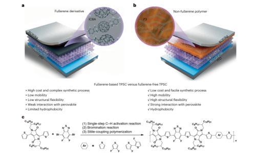 复旦大学赵岩&王洋&梁佳Nat Energy: 厘米级无富勒烯锡基钙钛矿太阳能电池实现14.51%认证效率
