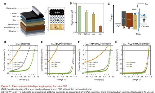 Joule: 用可印刷碳阴极增强p-i-n型钙钛矿太阳能电池的可行性: 极性反转的起源