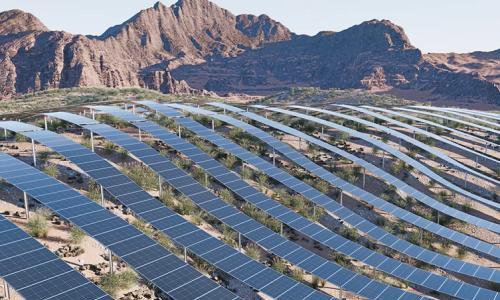 中信博斩获希腊266MW光伏项目,以定制化解决方案深耕欧洲市场